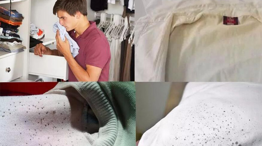 衣服護(hù)理小常識：潮濕天衣物有霉味不宜穿  該怎么辦？