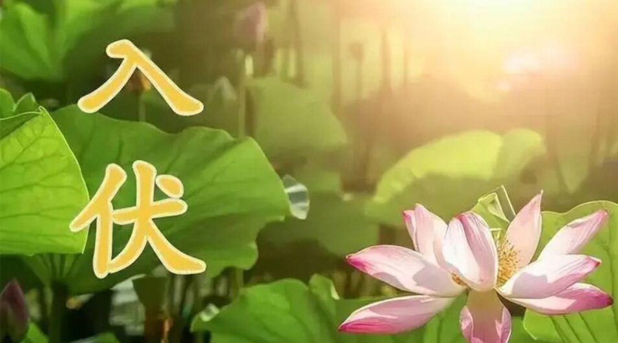 入伏天來襲！金環(huán)電器提醒大家要注意的事項(xiàng)