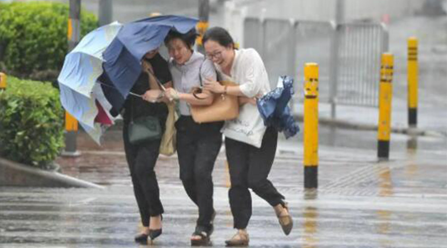 家有衣物烘干機(jī)，無懼臺(tái)風(fēng)天吹走和淋濕衣物！