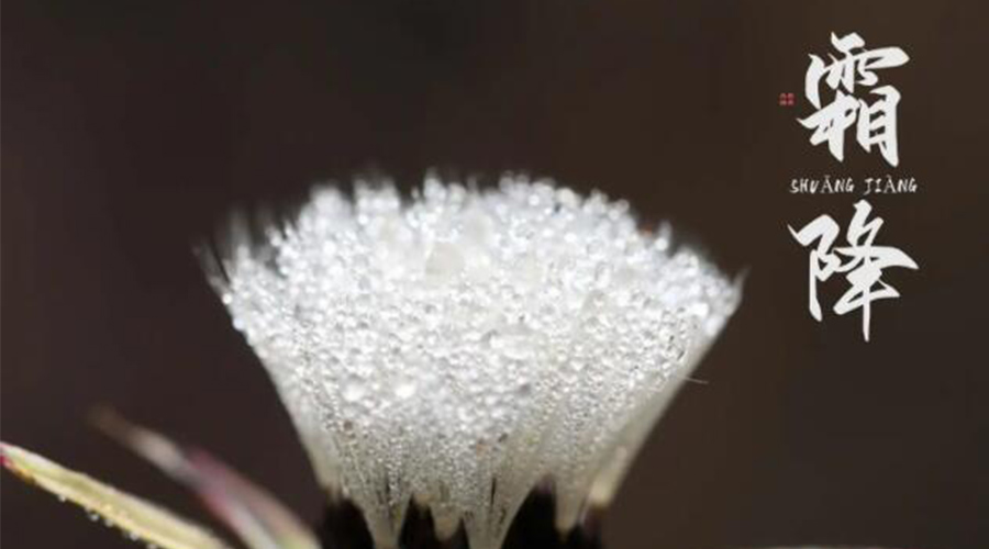 霜降時(shí)節(jié)！金環(huán)電器提醒大家要注意的事項(xiàng)