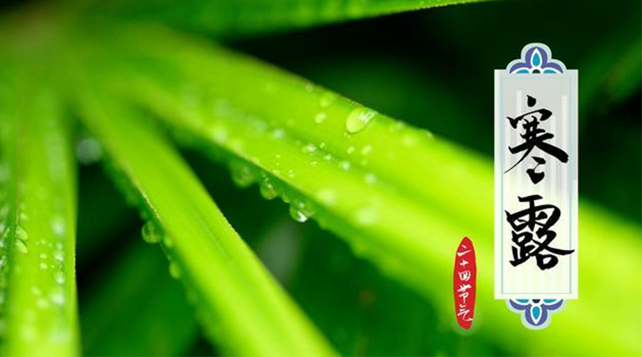 寒露時節(jié)到！金環(huán)電器提醒這些干衣事項要注意