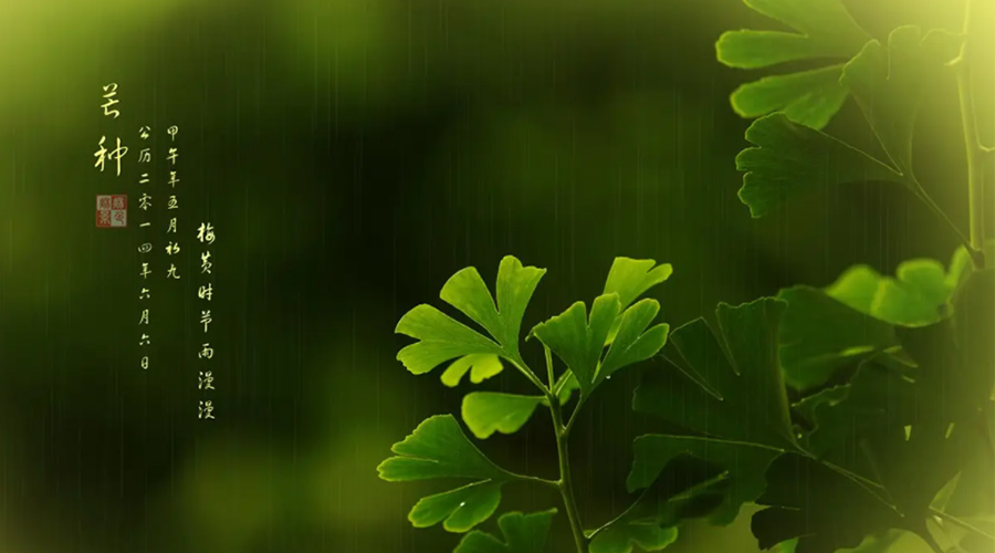 芒種時(shí)節(jié)！金環(huán)電器提醒大家的注意事項(xiàng)