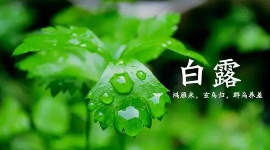白露時(shí)節(jié)！金環(huán)電器提醒大家要注意的事項(xiàng)