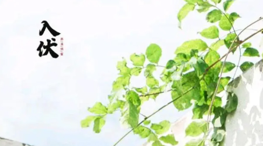 初伏時節(jié)！金環(huán)電器提醒大家要注意的事項