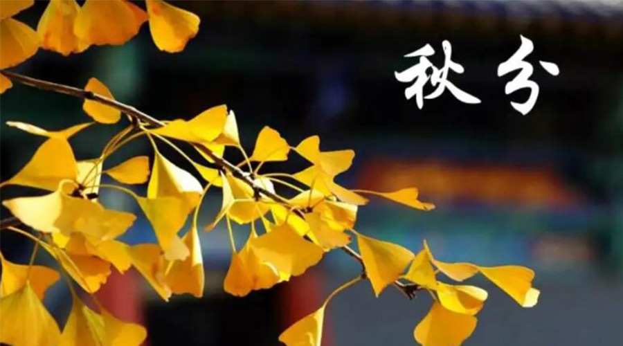 秋分時(shí)節(jié)！金環(huán)電器提醒大家要注意的事項(xiàng)