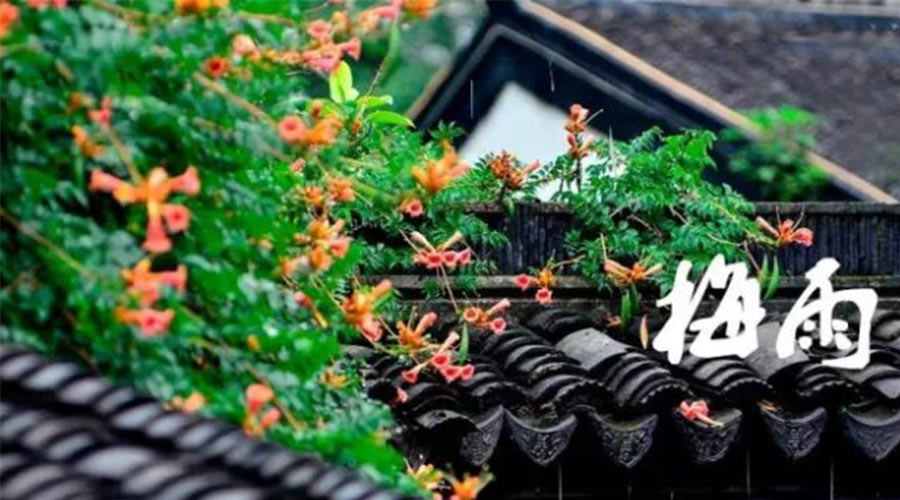 什么是梅雨？梅雨如何形成？  金環(huán)電器告訴你答案